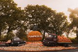 Pumpkin Fest ANYTIME Ticket 2026