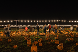 Pumpkin Nights CARERS TICKET 2026
