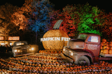 Pumpkin Nights CARERS TICKET 2026