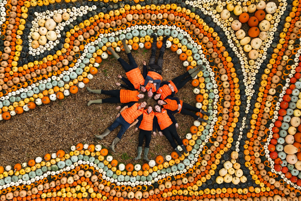 Pumpkin Fest - Friday 31st October 2025
