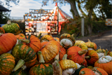Pumpkin Fest - Monday 27th October 2025