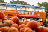 Pumpkin Fest - Monday 27th October 2025