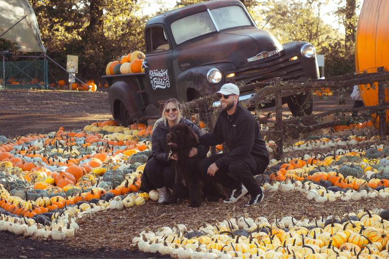 Pumpkin Fest - Monday 27th October 2025