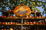 Pumpkin Fest - Monday 27th October 2025
