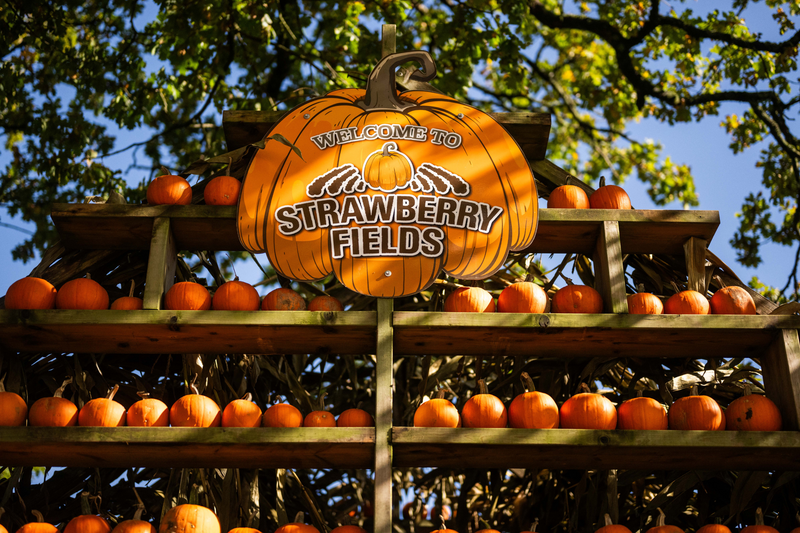 Pumpkin Fest - Monday 27th October 2025