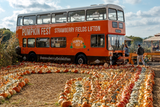 Pumpkin Fest - Monday 27th October 2025