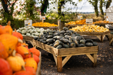 Pumpkin Fest - Monday 27th October 2025
