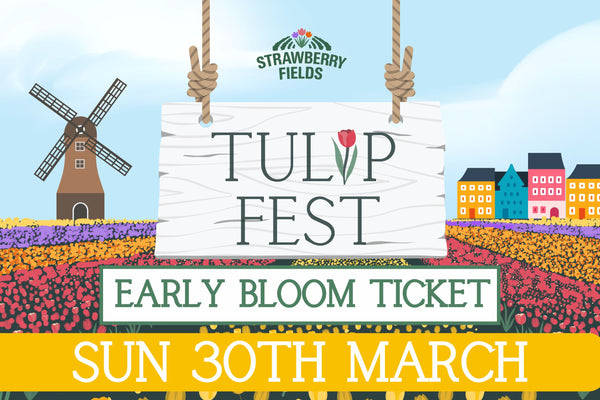 Early Bloom Tulip Fest 2025 - Sun 30th March