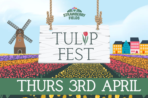 Tulip Fest 2025 - Thurs 3rd April