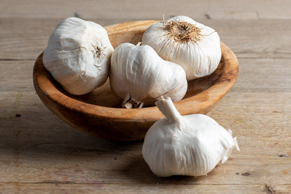 Garlic Bulb Lrg